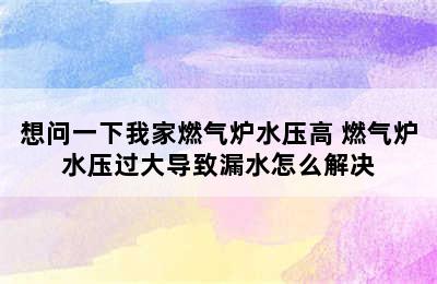 想问一下我家燃气炉水压高 燃气炉水压过大导致漏水怎么解决